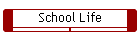 School Life